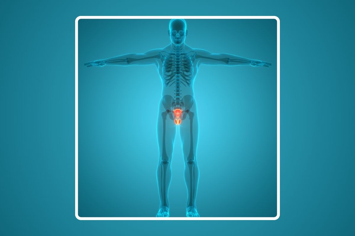 Understanding HIFU treatment for localized prostate cancer
